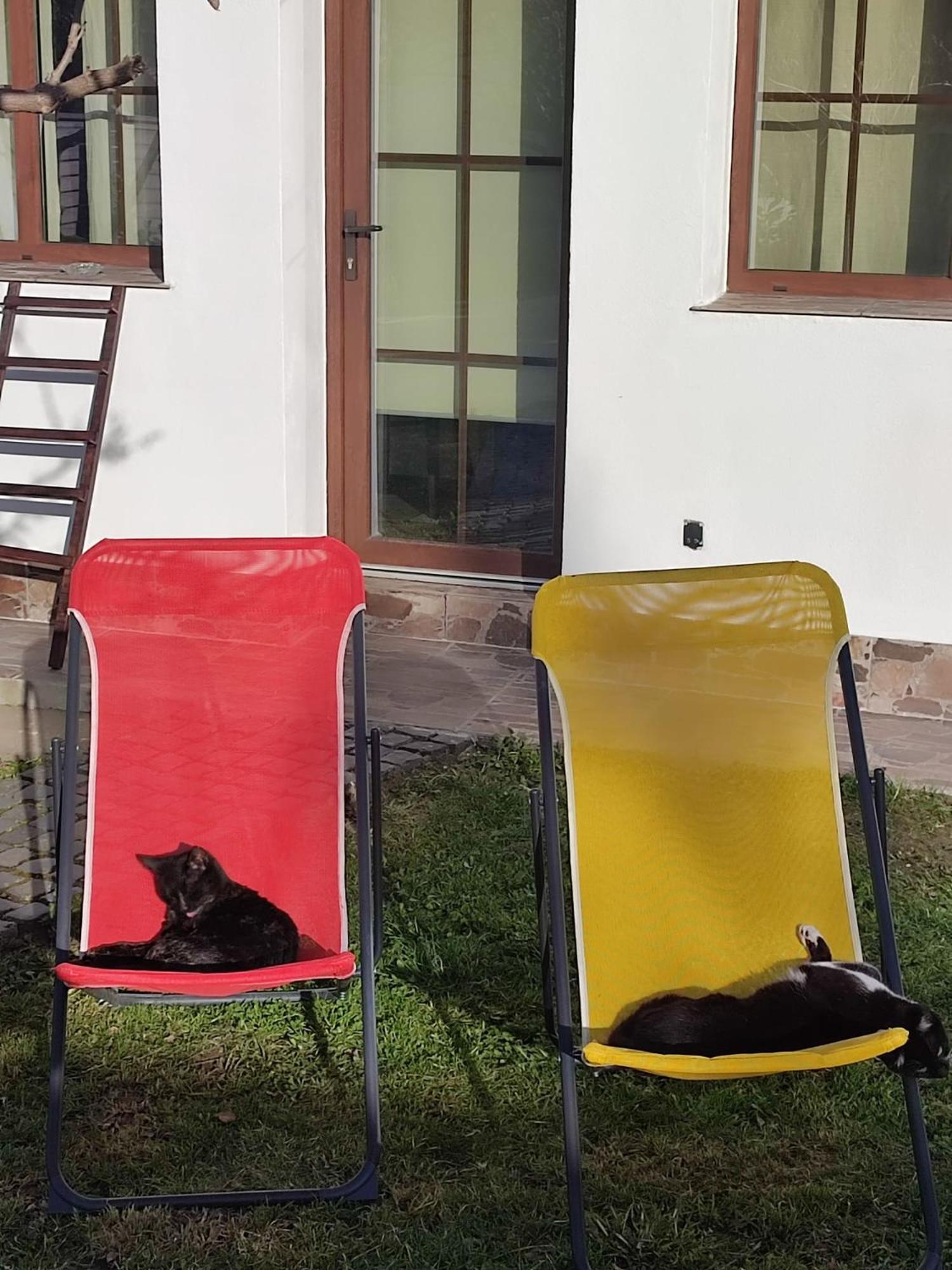 אורדאה Courtyard Studio מראה חיצוני תמונה