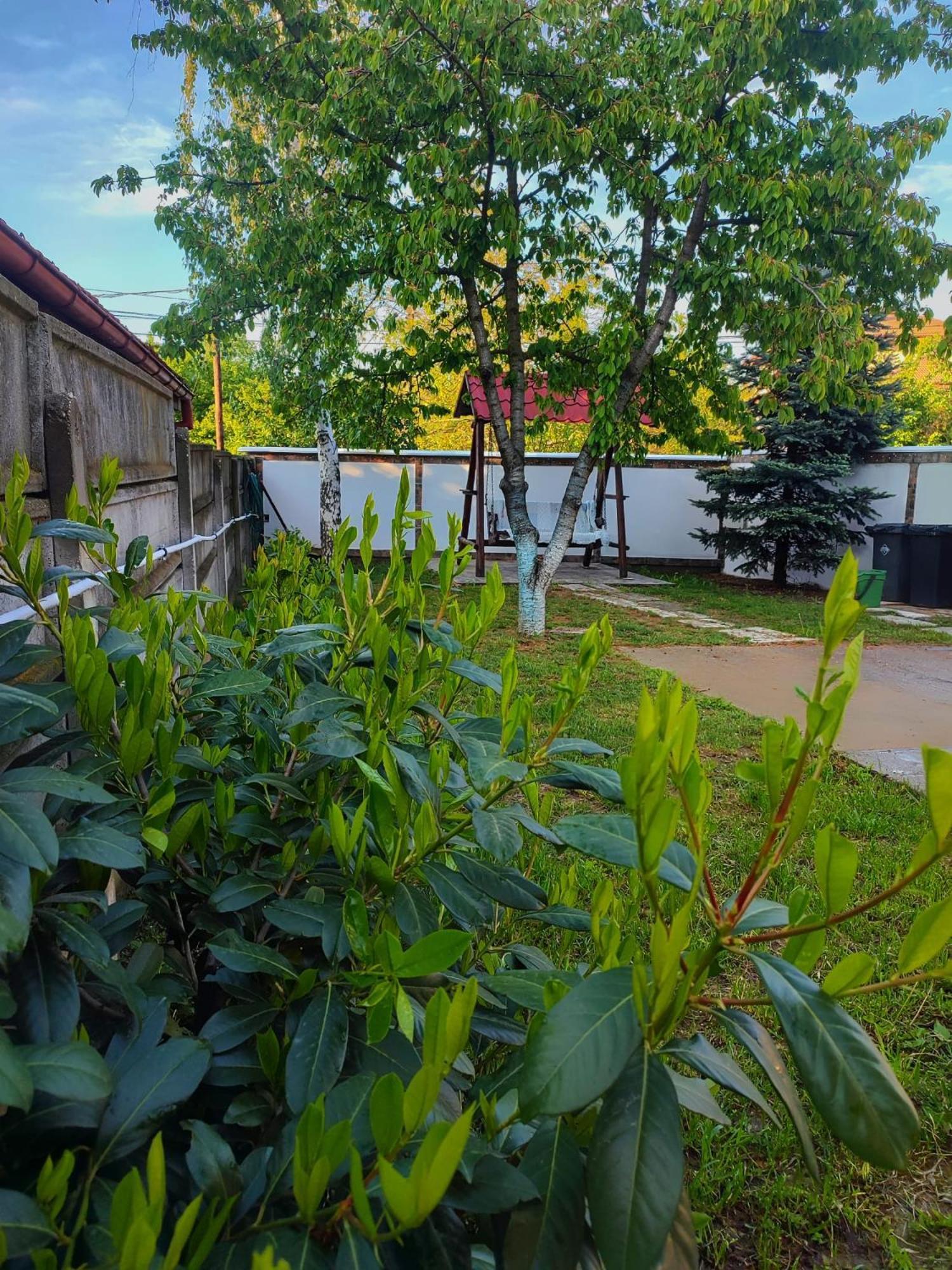 אורדאה Courtyard Studio מראה חיצוני תמונה
